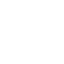 Icone website