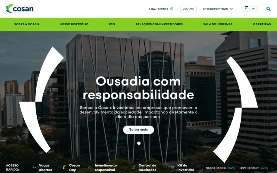 Screenshot do projeto Cosan
